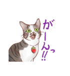 関西のにゃんこたち（個別スタンプ：7）