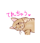 関西のにゃんこたち（個別スタンプ：9）