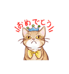 関西のにゃんこたち（個別スタンプ：10）