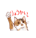 関西のにゃんこたち（個別スタンプ：12）