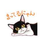 関西のにゃんこたち（個別スタンプ：13）