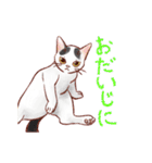 関西のにゃんこたち（個別スタンプ：14）