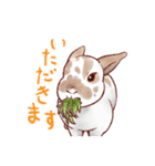 関西のにゃんこたち（個別スタンプ：15）