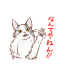 関西のにゃんこたち（個別スタンプ：22）