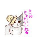 関西のにゃんこたち（個別スタンプ：26）