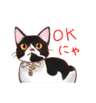 関西のにゃんこたち（個別スタンプ：28）