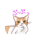 関西のにゃんこたち（個別スタンプ：32）