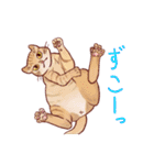 関西のにゃんこたち（個別スタンプ：33）