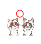 関西のにゃんこたち（個別スタンプ：36）