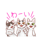 関西のにゃんこたち（個別スタンプ：38）