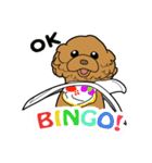 業務用トイプー・coco（個別スタンプ：21）