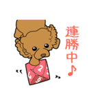 業務用トイプー・coco（個別スタンプ：27）