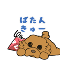 業務用トイプー・coco（個別スタンプ：28）