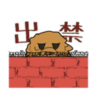業務用トイプー・coco（個別スタンプ：35）