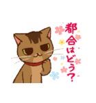 いつでもねこだまり4（個別スタンプ：3）