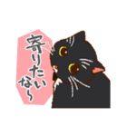 いつでもねこだまり4（個別スタンプ：7）