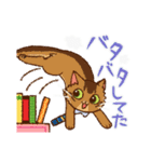 いつでもねこだまり4（個別スタンプ：9）