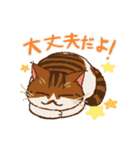 いつでもねこだまり4（個別スタンプ：39）