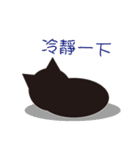 猫ちゃんちゃん（個別スタンプ：16）