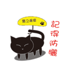 猫ちゃんちゃん（個別スタンプ：31）