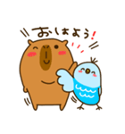 Capybara's daily life（個別スタンプ：1）