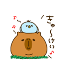 Capybara's daily life（個別スタンプ：2）