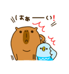 Capybara's daily life（個別スタンプ：12）