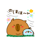 Capybara's daily life（個別スタンプ：16）