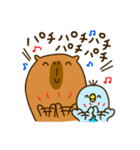 Capybara's daily life（個別スタンプ：20）