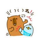 Capybara's daily life（個別スタンプ：23）