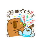 Capybara's daily life（個別スタンプ：25）