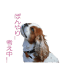 I am LUCKY（個別スタンプ：6）