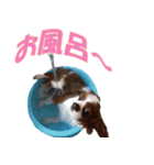 I am LUCKY（個別スタンプ：7）