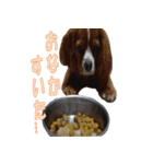 I am LUCKY（個別スタンプ：8）