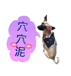 Mix dog Obee's useful stickers（個別スタンプ：25）