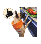 Mix dog Obee's useful stickers（個別スタンプ：27）