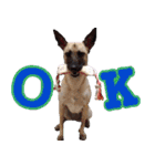 Mix dog Obee's useful stickers（個別スタンプ：30）