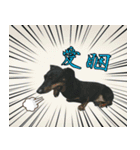 Coffee come（個別スタンプ：1）