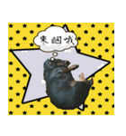 Coffee come（個別スタンプ：5）