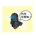 Coffee come（個別スタンプ：10）