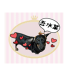 Coffee come（個別スタンプ：12）