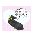 Coffee come（個別スタンプ：14）