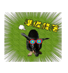 Coffee come（個別スタンプ：16）