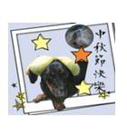 Coffee come（個別スタンプ：17）