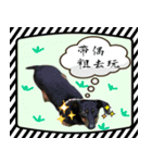 Coffee come（個別スタンプ：19）