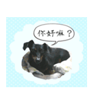 Coffee come（個別スタンプ：20）