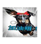 Coffee come（個別スタンプ：24）
