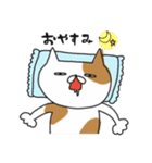 ぶちゃねこたち。（個別スタンプ：3）