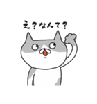 ぶちゃねこたち。（個別スタンプ：13）