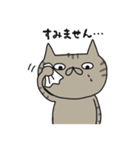 ぶちゃねこたち。（個別スタンプ：17）